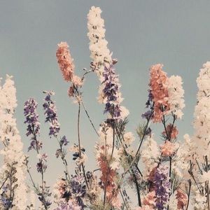 Meet your Posher, Etienne